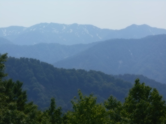 津軽峠のタニウツギ　2018年6月9日_c0069380_08305890.jpg