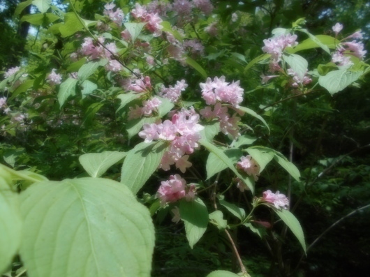 c0069380_08314091.jpg
