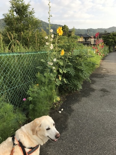 f0315081_20225586.jpeg