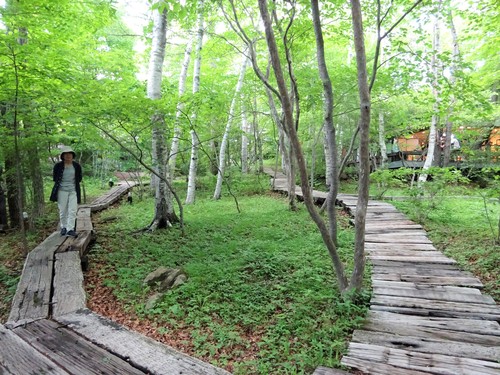 d0212491_2253138.jpg