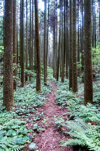 e0176993_10164194.jpg