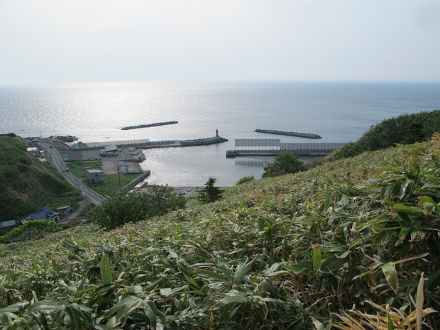 a0166196_17112292.jpg