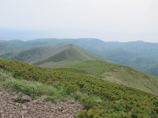 a0166196_1723211.jpg