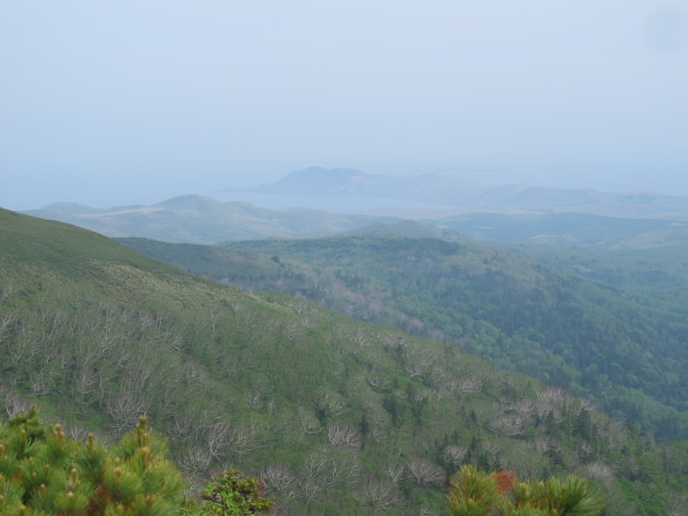 a0166196_17383475.jpg