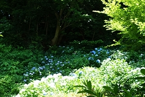 e0277800_07225666.jpg