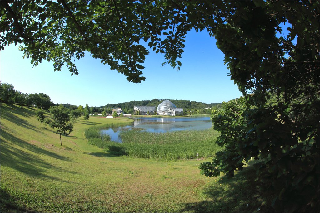 ※ 2018年6月　新潟県立植物園（４）_d0353401_22411589.jpg