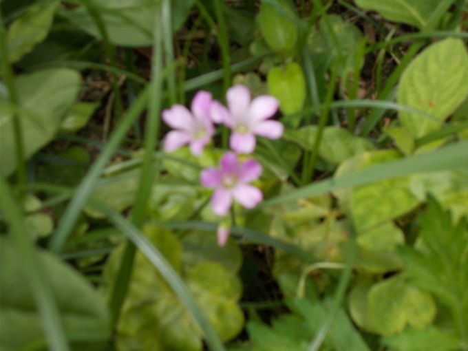 b0239402_18510865.jpg