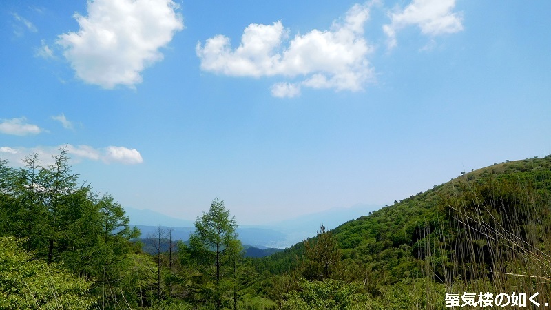 e0304702_20003492.jpg