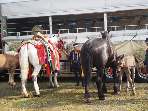 c0212604_17564276.jpg