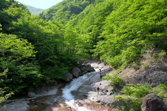 f0179404_20281958.jpg