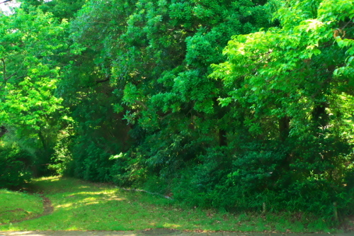 a0263109_20572543.jpg