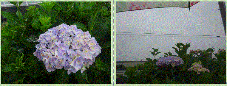 f0231709_15565502.gif