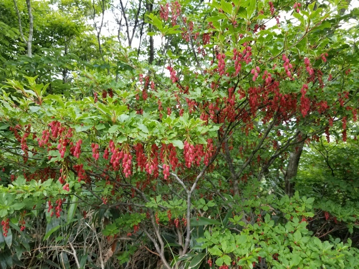 f0219710_08415032.jpg