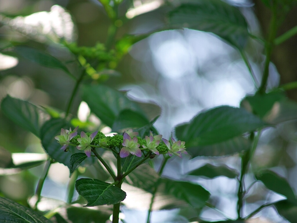 e0364711_01161269.jpg