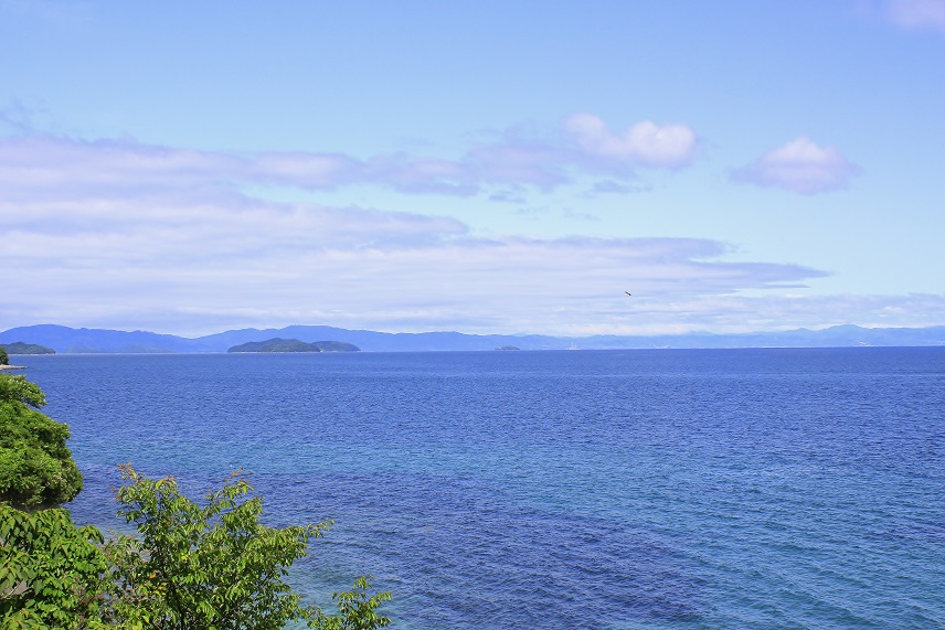 e0365211_2325771.jpg