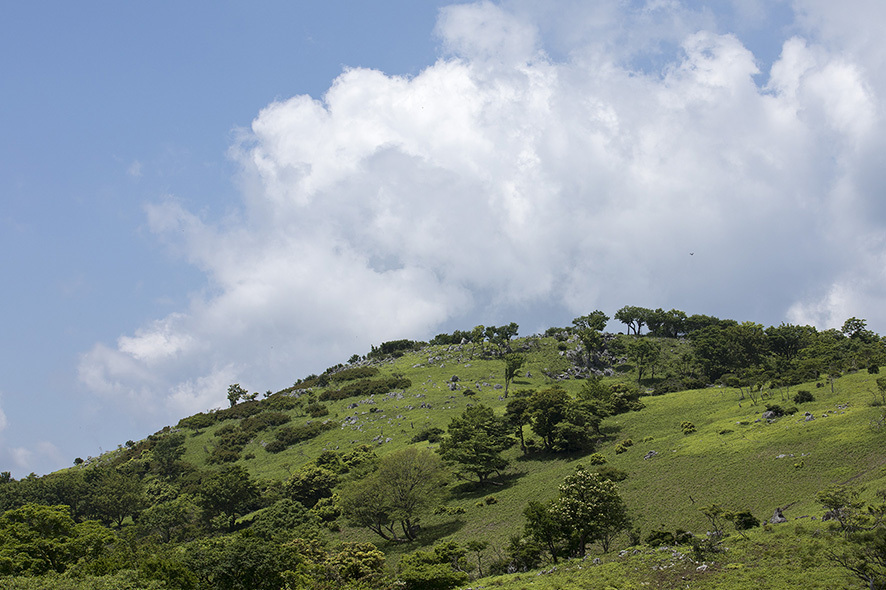 b0315912_17405477.jpg