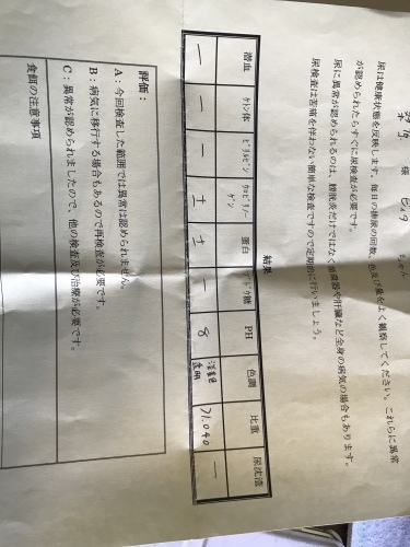 d0377714_09181992.jpeg