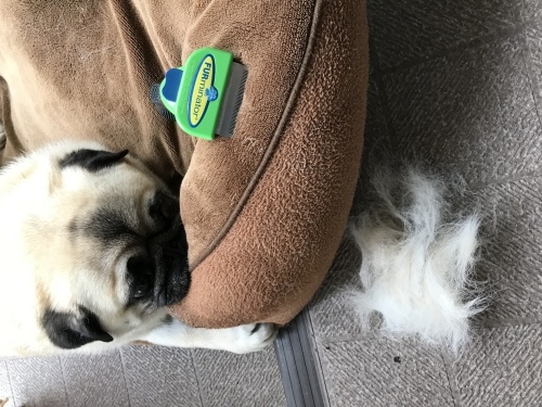 d0377714_09184152.jpeg