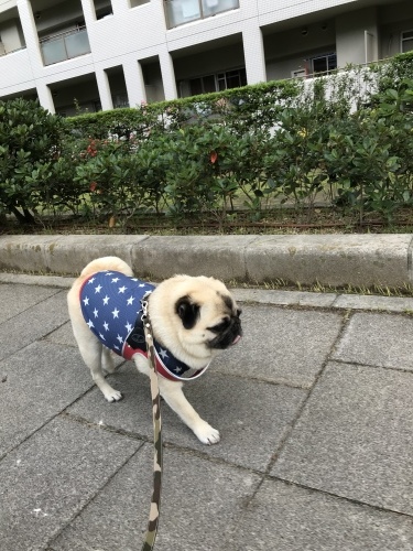 d0377714_09193442.jpeg