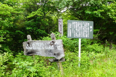 d0170615_06402368.jpg