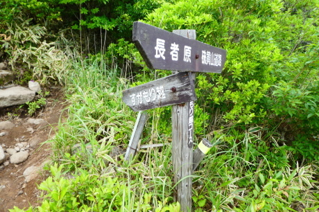 d0170615_06405523.jpg