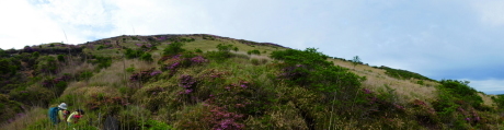 d0170615_06415728.jpg