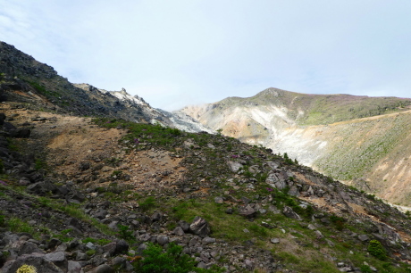 d0170615_06424532.jpg