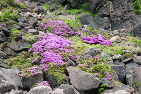 d0170615_06430059.jpg