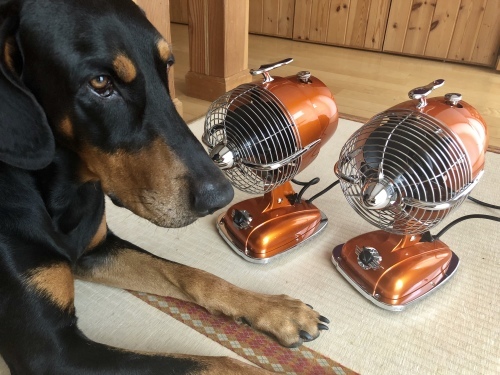 c0324418_13213207.jpeg