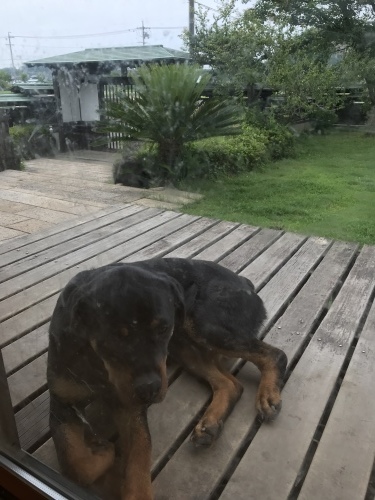 e0344925_08081476.jpeg