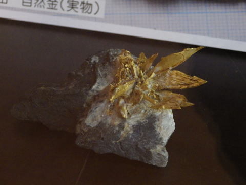 d0045626_23133209.jpg
