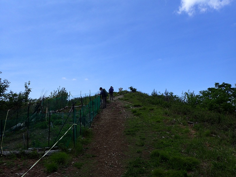 e0284726_10414254.jpg