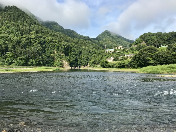 d0172227_03431898.jpeg
