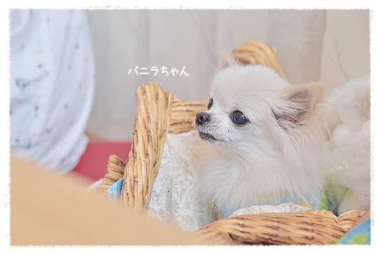 d0179828_05374918.png