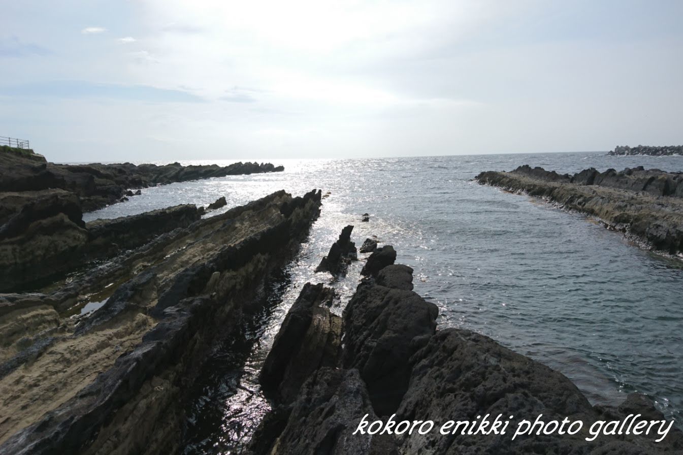 「三崎・城ヶ島」_d0372528_18332080.jpg