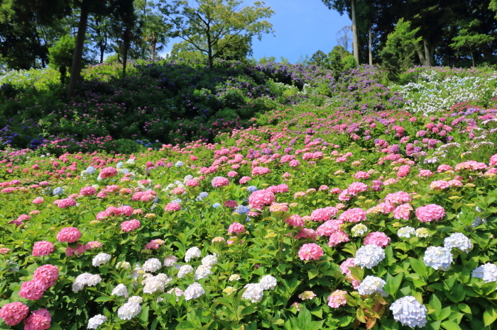 f0348831_17420052.jpg
