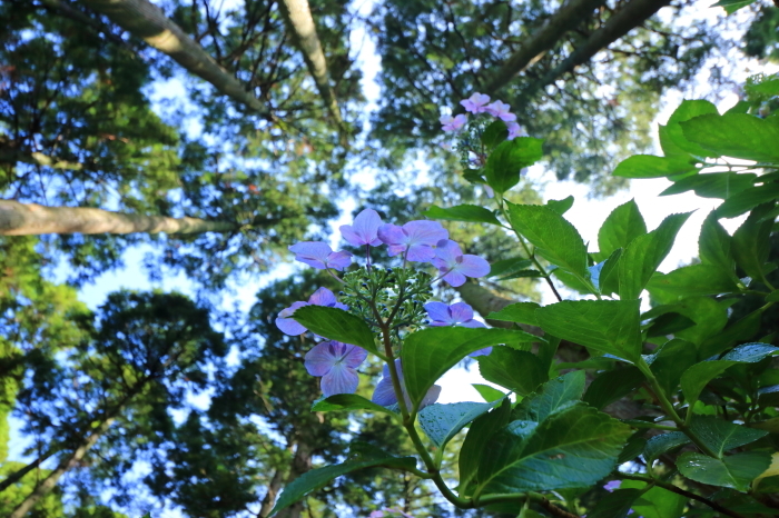 f0348831_17433549.jpg
