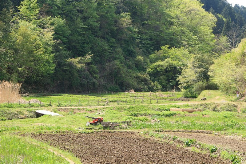 いがりまさし先生の里山ワークショップ_a0379133_13455299.jpg