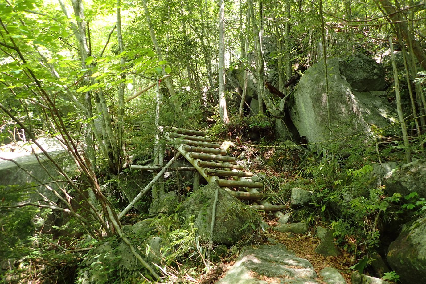 f0348933_11485101.jpg