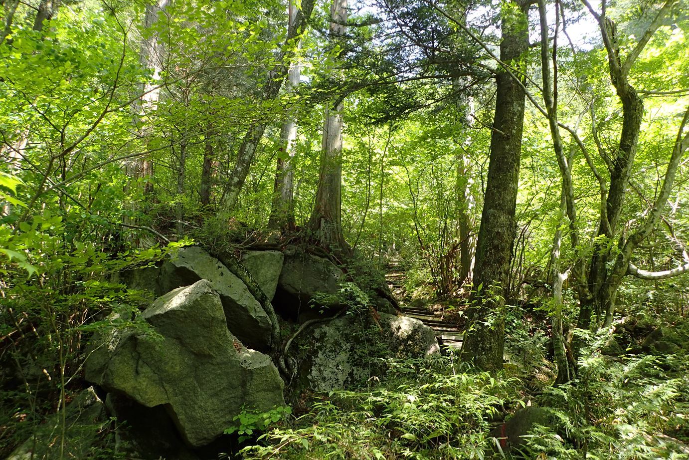 f0348933_11510416.jpg