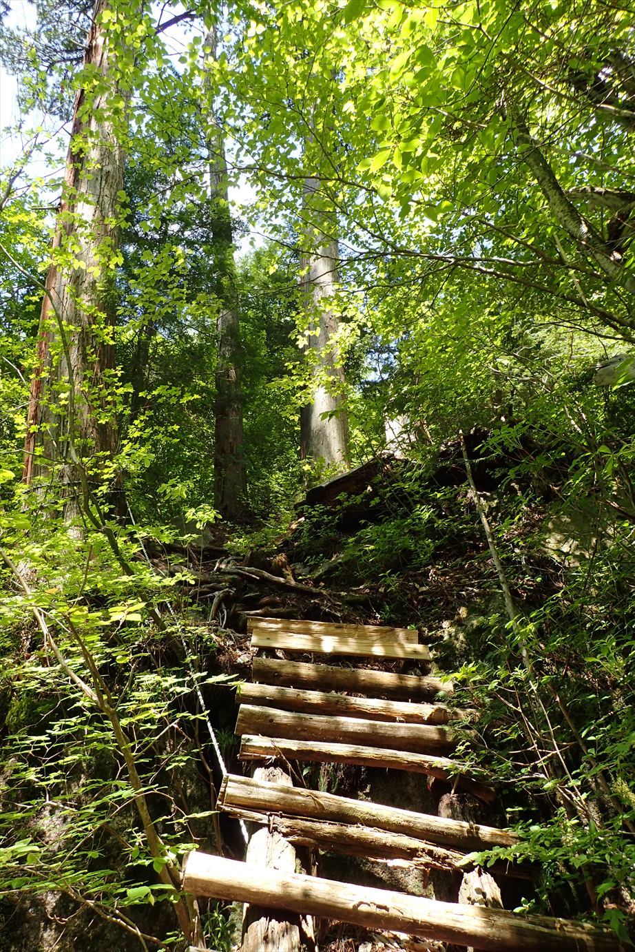 f0348933_11515798.jpg