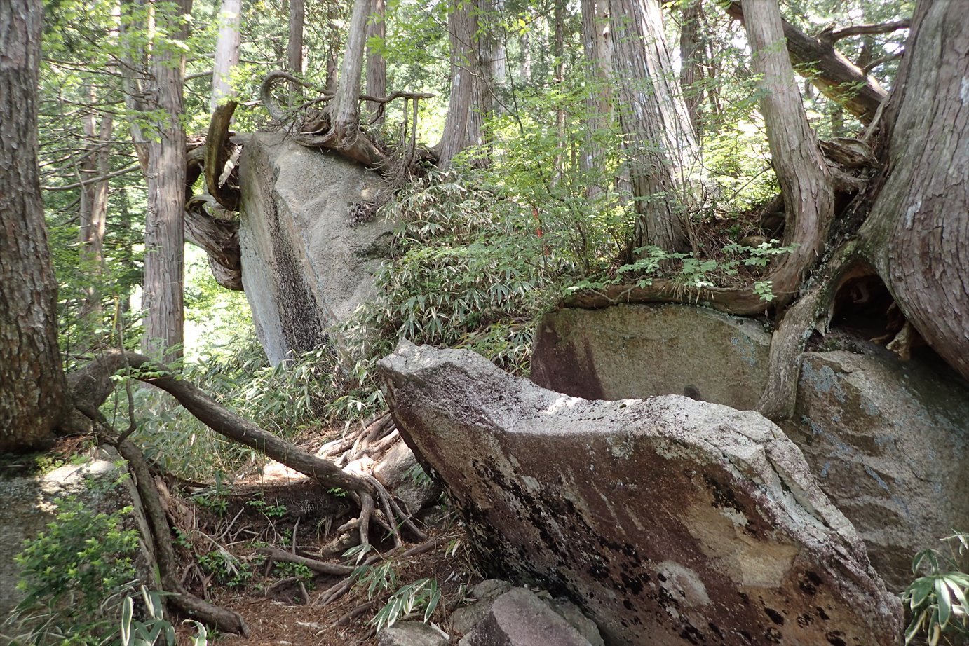 f0348933_11554096.jpg