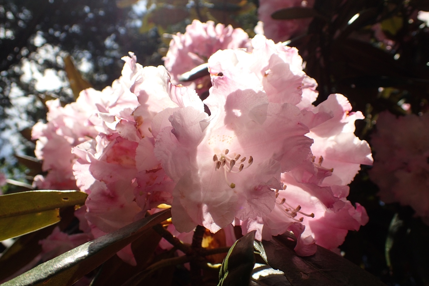 f0348933_12110742.jpg