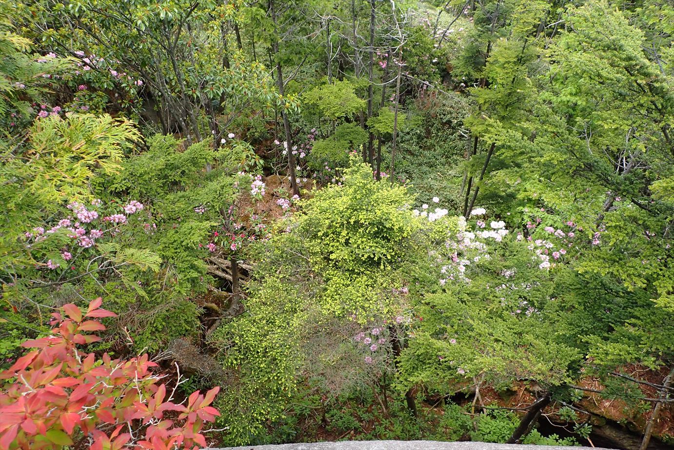f0348933_12144402.jpg