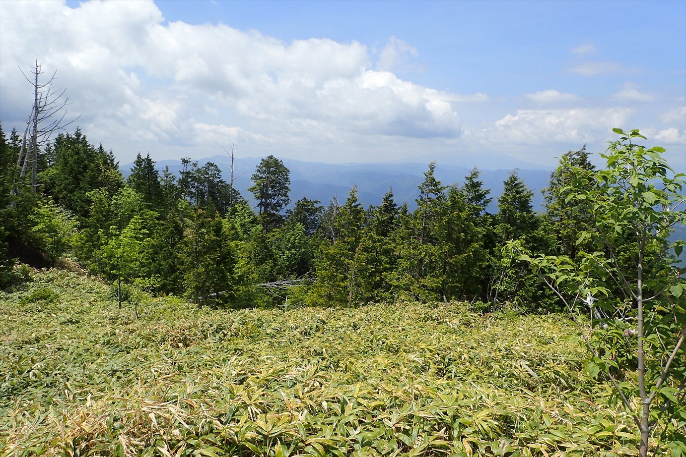 f0348933_12234107.jpg