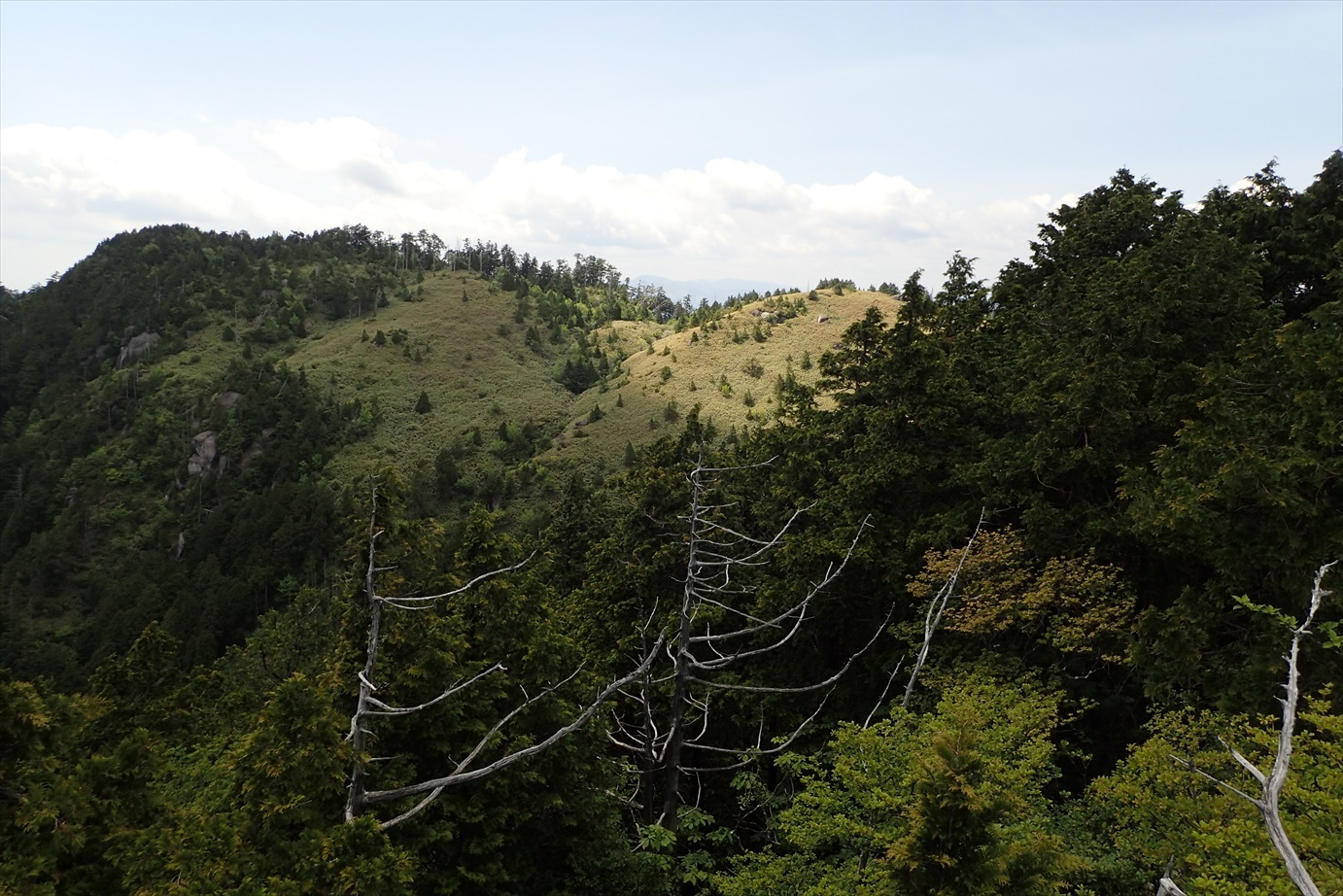 f0348933_12345902.jpg