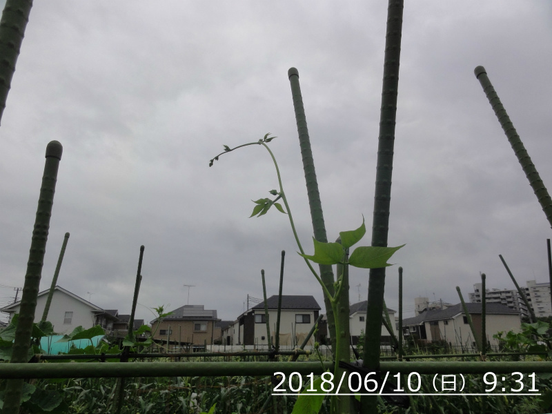 台風が近づいてくる！_d0111439_10563777.jpg