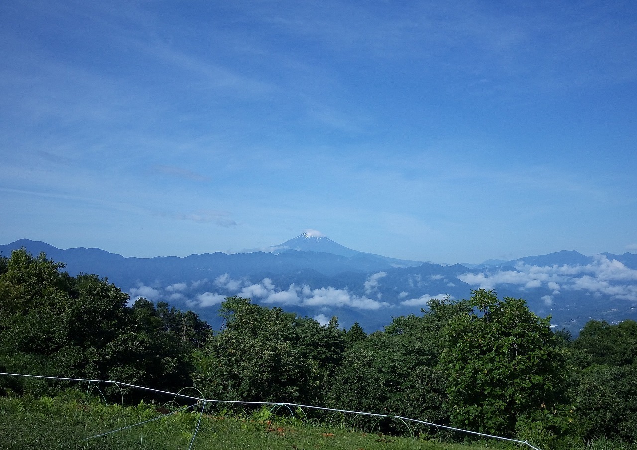 d0361041_17543123.jpg