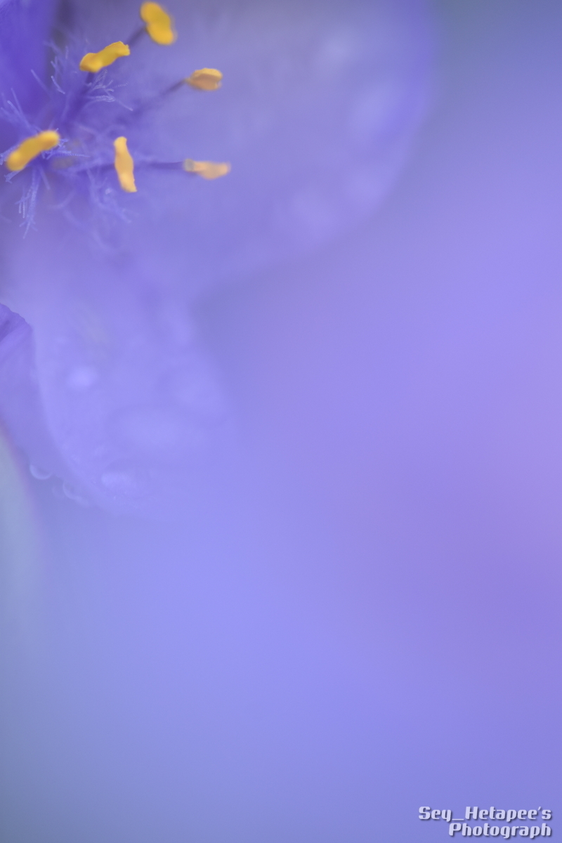 f0166545_21465078.jpg