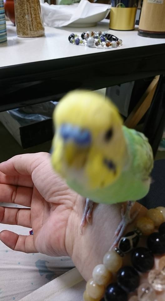 d0355146_12532782.jpeg